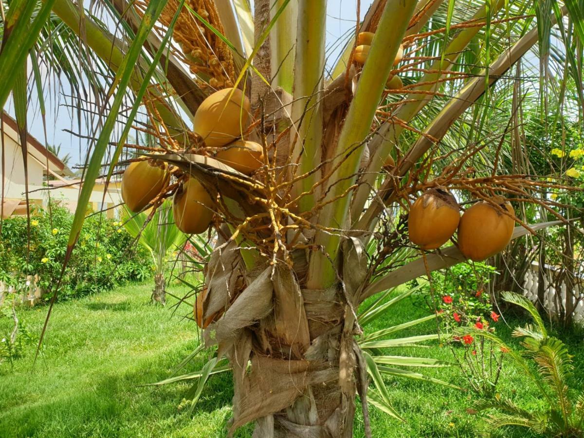 Kunta Kinteh Beach Complex Kotu Exterior photo