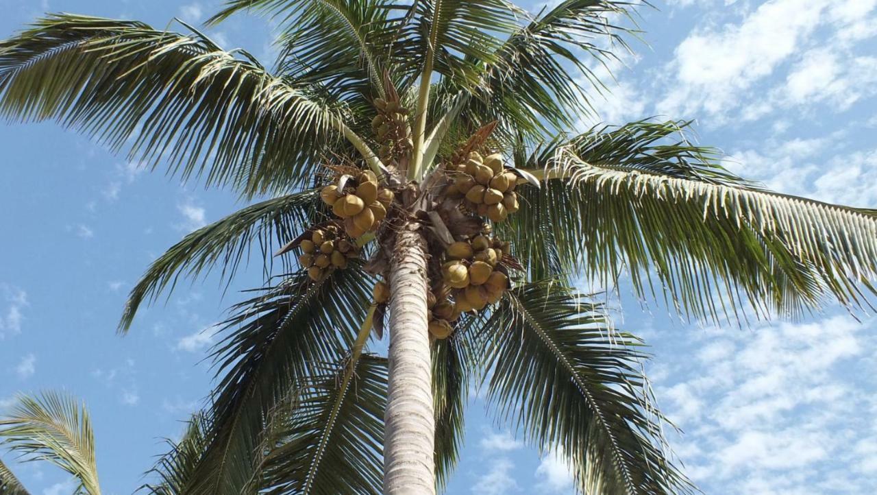 Kunta Kinteh Beach Complex Kotu Exterior photo